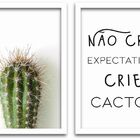 Conjunto Quadros Decorativos 2 Peças Mdf 20x30 Cacto - Moldur