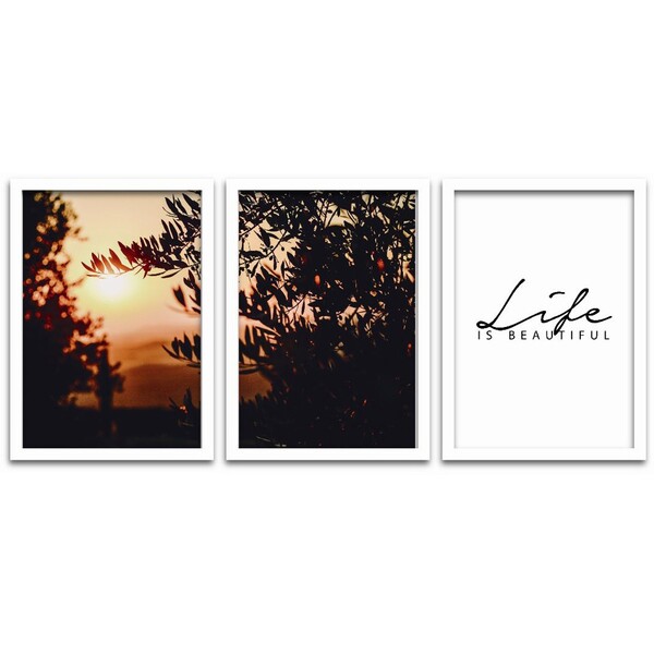 Conjunto Quadros Decorativos 3 Peças 20x30 Life - Moldura Bra