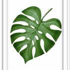 Conjunto Quadros Decorativos 3 Peças 20x30 Mdf Folha Home - M