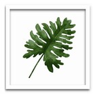 Conjunto Quadros Decorativos 3 Peças 25x25 Folhas - Moldura B