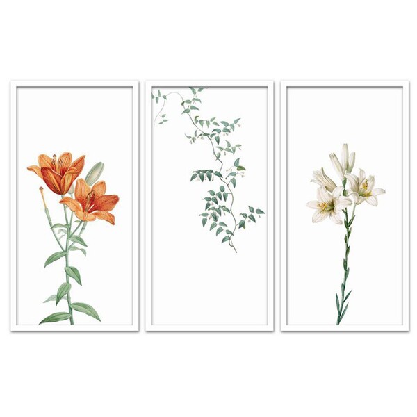 Conjunto Quadros Decorativos 3 Peças 30x60 Flora - Moldura Br