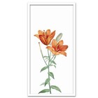 Conjunto Quadros Decorativos 3 Peças 30x60 Flora - Moldura Br