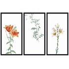 Conjunto Quadros Decorativos 3 Peças 30x60 Flora - Moldura Pr