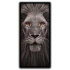 Conjunto Quadros Decorativos 3 Peças 30x60 Leão Cinzento - Mo