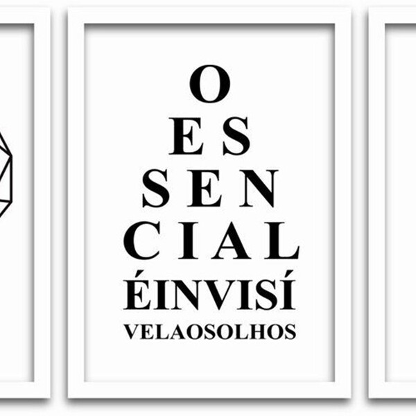 Conjunto Quadros Decorativos 3 Peças 40x60 Essencial - Moldur