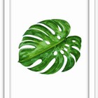 Conjunto Quadros Decorativos 3 Peças 40x60 Folhas 3 - Moldura