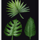 Conjunto Quadros Decorativos 3 Peças 40x60 Home Folhas - Mold