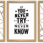 Conjunto Quadros Decorativos 3 Peças 40x60 If You - Moldura D