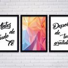 Conjunto Quadros Decorativos 3 Peças Mdf 20x30 Frases 3 - Mol