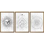 Conjunto Quadros Decorativos Astros Sem Vidro Marrom