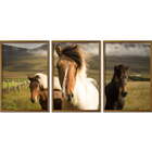 Conjunto Quadros Decorativos Cavalos Ii Sem Vidro Marrom