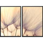 Conjunto Quadros Decorativos Dente De Leão I Sem Vidro Preto