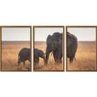 Conjunto Quadros Decorativos Elefantes Sem Vidro Marrom