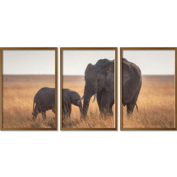 Conjunto Quadros Decorativos Elefantes Sem Vidro Marrom