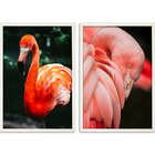 Conjunto Quadros Decorativos Flamingos Sem Vidro Branco