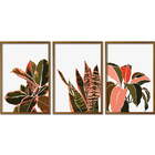 Conjunto Quadros Decorativos Floral Minimalista Ii Sem Vidro
