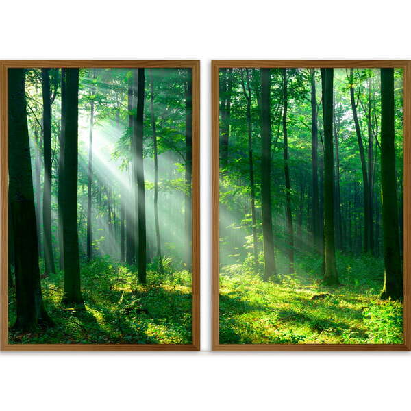 Conjunto Quadros Decorativos Floresta Sem Vidro Marrom