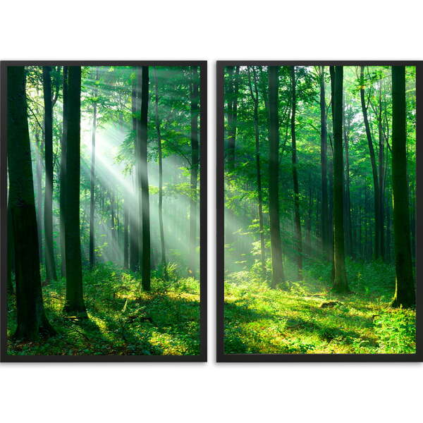 Conjunto Quadros Decorativos Floresta Sem Vidro Preto