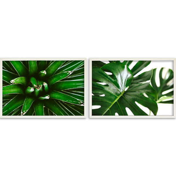 Conjunto Quadros Decorativos Folhagens Sem Vidro Branco