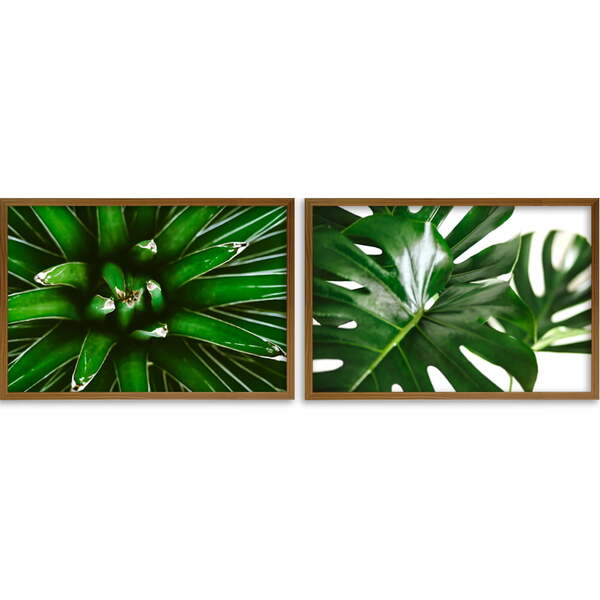 Conjunto Quadros Decorativos Folhagens Sem Vidro Marrom
