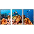 Conjunto Quadros Decorativos Fundo Do Mar Sem Vidro Branco