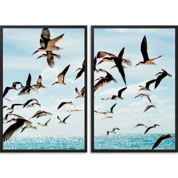 Conjunto Quadros Decorativos Gaivotas Sem Vidro Preto