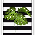 Conjunto Quadros Decorativos Mdf 3 Peças 20x30 Sweet Home 2 -