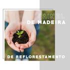 Conjunto Sala De Jantar Carraro Atenas Com Mesa E 6 Cadeiras