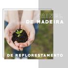 Conjunto Sala De Jantar Carraro Fortaleza Mesa E 4 Cadeiras