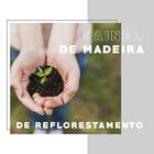 Conjunto Sala De Jantar Carraro Maldonado Com Mesa E 6 Cadeir