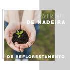 Conjunto Sala De Jantar Carraro Pienza C/ Mesa E 2 Banquetas