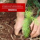 Conjunto Sala De Jantar Madesa Talita Mesa Tampo De Madeira C