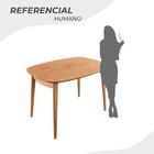 Conjunto Sala De Jantar Mesa Ceci Com 4 Cadeiras Allegra Espr