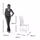 Conjunto Sala De Jantar Mesa Diana 6 Cadeiras Viana Espresso