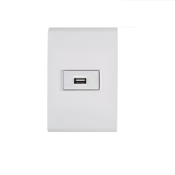 Conjunto Tomada Usb Carregador 1 5a Bivolt 4x2 Tramontina Liz