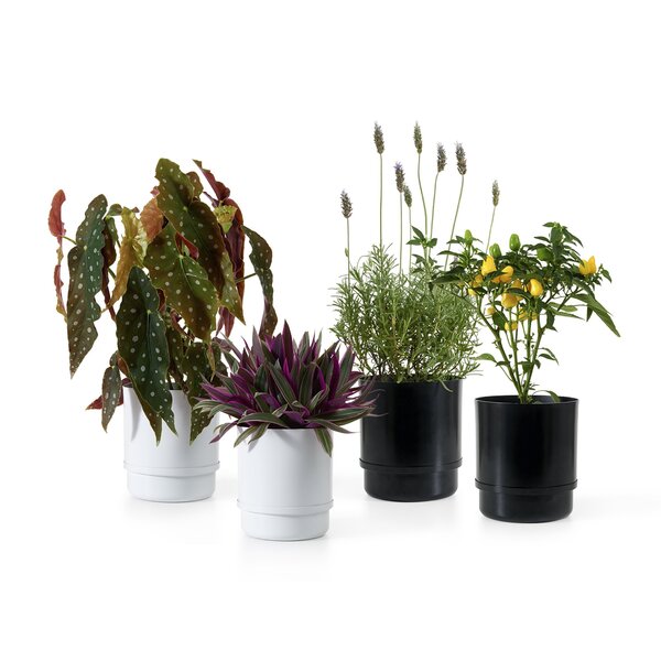 Conjunto Vaso Autoirrigável Alumínio Preto E Branco