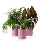 Conjunto Vaso Autoirrigável Alumínio Rosa