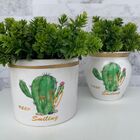 Conjunto Vaso Branco Decorativo De Cerâmica Estampa Cactos