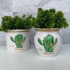 Conjunto Vaso Branco Decorativo De Cerâmica Estampa Cactos