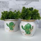 Conjunto Vaso Branco Decorativo De Cerâmica Estampa Cactos