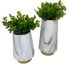Conjunto Vaso Cerâmico Marmorizado Luxo Com Planta