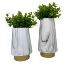 Conjunto Vaso Cerâmico Marmorizado Luxo Com Planta