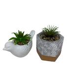 Conjunto Vaso De Cimento Geométrico E Pássaro Com Suculenta