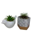 Conjunto Vaso De Cimento Geométrico E Pássaro Com Suculenta