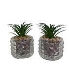 Conjunto Vaso De Vidro Trabalhado Com Suculenta Artificial