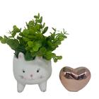 Conjunto Vaso Gatinho Com Planta E Mini Coração Rose Gold