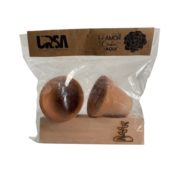 Conjunto Vaso Para Suculenta Enfeite Decorativo