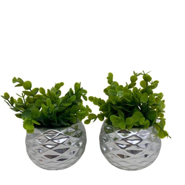 Conjunto Vasos De Cerâmica Prata Geométricos Com Planta