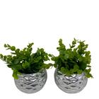 Conjunto Vasos De Cerâmica Prata Geométricos Com Planta