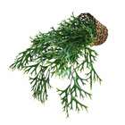 Conjuntos De 7 Plantas Chifre De Veado Artificial Imitação Re